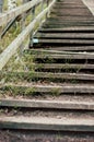 Old rustic wooden staircase or stairway in the woods or forest. Mossy and weathered wood and some steps are broken. Stairs are