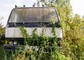 Old rusting cars and trucks left for nature to reclaim