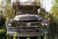 Old rusting cars and trucks left for nature to reclaim