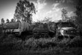 Old rusting cars and trucks left for nature to reclaim