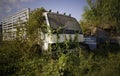 Old rusting cars and trucks left for nature to reclaim