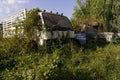 Old rusting cars and trucks left for nature to reclaim