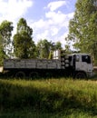 Old rusting cars and trucks left for nature to reclaim