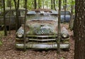 Old, Rusting Green Car in the Woods