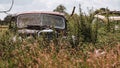 Old rusting vintage car in an overgrown field Royalty Free Stock Photo