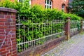 An old rusting wrought iron fence with green plants growing behind it and a building in the background in Germany Royalty Free Stock Photo