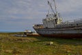 Old rusty abandoned boats, white ships lie on green grassy shore in the light of setting sun. Lake Baikal, Royalty Free Stock Photo