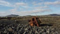 Old rusty abandoned car in the middle of a field with many rocks and stones under a blue sky Royalty Free Stock Photo