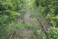 Old rusty abandoned railway overgrown with grass, so railway sleepers are not visible Royalty Free Stock Photo