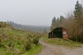 Old rusty abandoned shed next to a path through a spruce forest and gorse shrubland in foggy Ticknock mountains