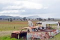 Old rusty, abandoned vintage cars in the countryside Royalty Free Stock Photo