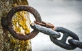 Old rusty anchor iron ship chain in sea port. Royalty Free Stock Photo