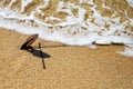 Old rusty anchor in the sand Royalty Free Stock Photo