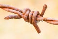 Old rusty barbed wire closeup