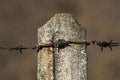 Old rusty barbed wire on a concrete post Royalty Free Stock Photo