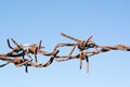 Old rusty barbed wire dark brown, full of scary clashed with be Royalty Free Stock Photo