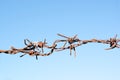 Old rusty barbed wire dark brown, full of scary clashed with be Royalty Free Stock Photo