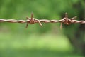 Old rusty barbed wire fence background blurred nature Royalty Free Stock Photo