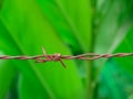 Old rusty barbed wire fence on green nature background Royalty Free Stock Photo
