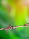 Old rusty barbed wire fence on green nature background Royalty Free Stock Photo