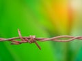 Old rusty barbed wire fence on green nature background Royalty Free Stock Photo