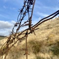 Old rusty barbed wire fence Royalty Free Stock Photo