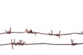 Old rusty barbed wire isolated on white background Royalty Free Stock Photo