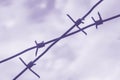 Old rusty barbed wire. Metal barbed wire fence close-up with blurred background. Blue and cloudy sky Royalty Free Stock Photo