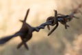 Old, rusty barbed wire - shallow depth of field Royalty Free Stock Photo