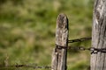 Old rusty barbed wire Royalty Free Stock Photo