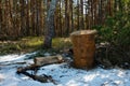 Old rusty barrel in the forest with haulms Royalty Free Stock Photo