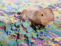 Old rusty barrel in polluted water with oil film