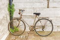 Old rusty bicycle against the wall Royalty Free Stock Photo