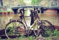 Old rusty bike at the canal on the background of a bridge