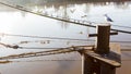 Old rusty bollard on the pier in the early morning. Gulls sit on the mooring ropes Royalty Free Stock Photo