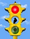 An old rusty broken traffic light inhabited by a bird is seen