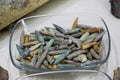 Old rusty bullet ammunition