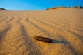 Old rusty bullet lie in the sandy desert