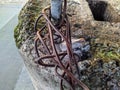 old rusty bundles and knots of thick metal wires