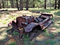 Old Car in Coconino National Forest near Flagstaff, Arizona Royalty Free Stock Photo