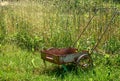 Rusty cart on the field of golden wheat under sunlight harvest season background