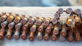 Old rusty cartridges in a machine-gun belt. war in Ukraine. military ammunition Royalty Free Stock Photo