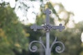 Old rusty Catholic cross on the gate leading to the cemetery. Spider in the corner. Royalty Free Stock Photo