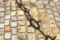 An old and rusty chain with sharp edges against a background of stones, a ban on the entrance, a background of stone Royalty Free Stock Photo