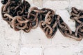 Old rusty chain on a stone background. Several links of a rusty old chain Royalty Free Stock Photo