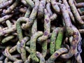 Old rusty chains Royalty Free Stock Photo