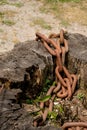 Old rusty chains texture. Royalty Free Stock Photo