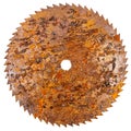 Old rusty circular saw blade