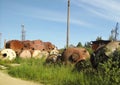 Old rusty cisterns are piled