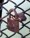 old rusty colorful padlocks locked on a net wall